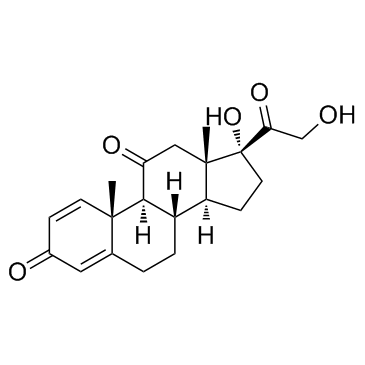 CAS:53-03-2  Prednisone	  泼尼松