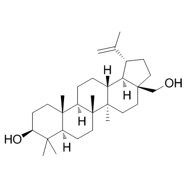 CAS:473-98-3  Betulin	桦木醇