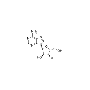 CAS:58-61-7  Adenosine	 腺苷