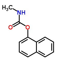 CAS:63-25-2  Carbaryl	甲萘威