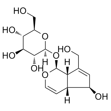 CAS:479-98-1  Aucubin    桃叶珊瑚苷