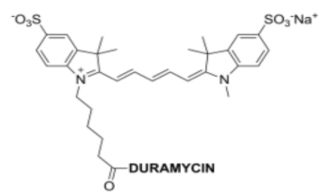 Duramycin-Cy5