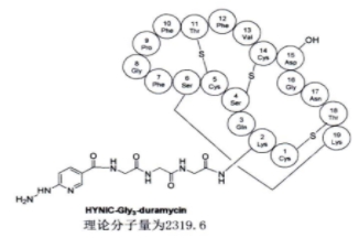 HYNIC-Gly3-duramycin