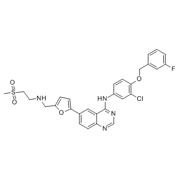 CAS:231277-92-2  Lapatinib	拉帕替尼