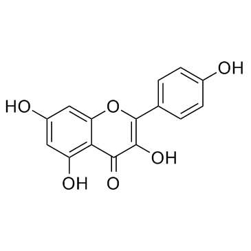 CAS:520-18-3  Kaempferol	山奈酚