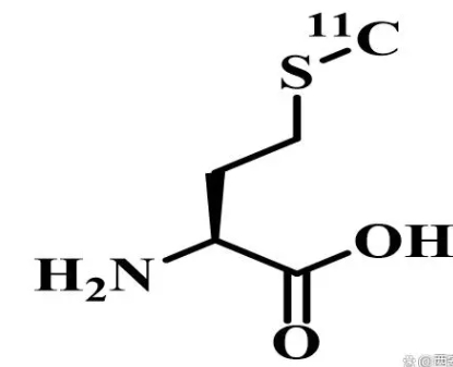 11C-MET分子探针|11C-甲基-L-蛋氨酸|分子靶点：氨基酸类