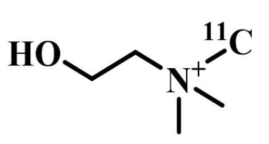 11C-胆碱核素分子探针；(N-[11C]甲基)氯化胆碱