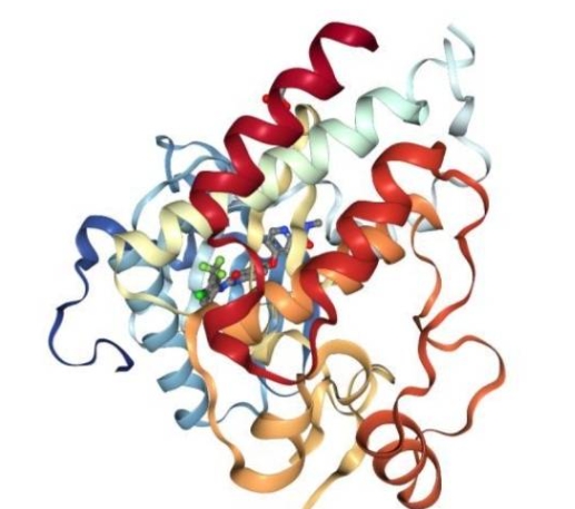 13N-NH3.H2O核素分子探针 