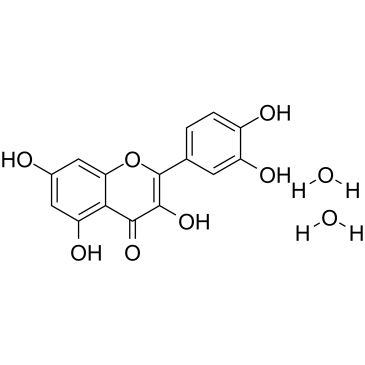 CAS:6151-25-3  Quercetin Dihydrate	二水槲皮素