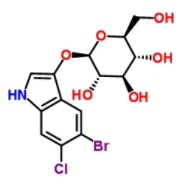 5-溴-6-氯-3-吲哚基-β-D-半乳糖皮蒽 