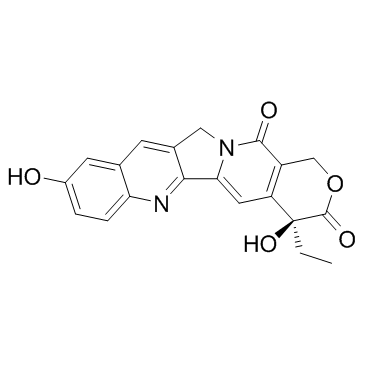CAS:19685-09-7  (S)-10-Hydroxycamptothecin	(S)-10-羟基喜树碱