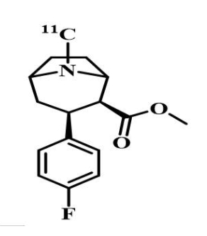 11C-CFT分子探针|分子靶点：多巴胺