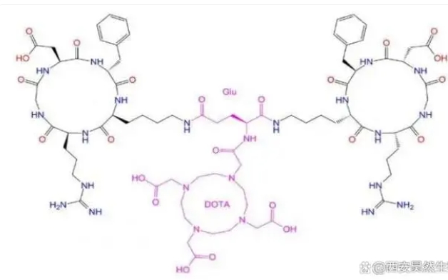 DOTA-E[c(RGDyK)2]，DOTA-E[cyclo(RGDyK)2]