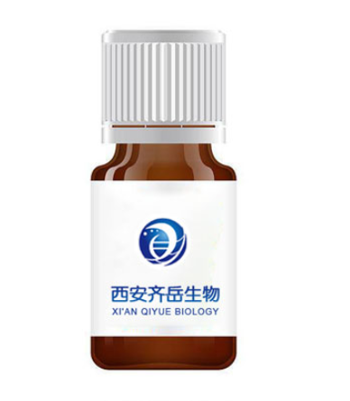 Gd-DOTA-HCBP（多肽核磁共振成像(MRI)探针）