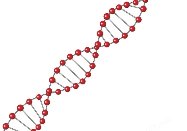 90Y-DOTA-奥曲肽,90Y-DOTA-Octreotide 90Y-DOTA-奥曲肽,90Y-DOTA-Octreotide