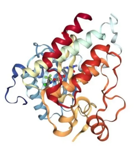 64 Cu-NOTA-Herceptin分子探针