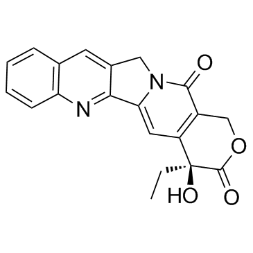 CAS:7689-03-4  Camptothecin	喜树碱