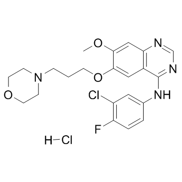 CAS:184475-55-6  Gefitinib hydrochloride	  盐酸吉非替尼