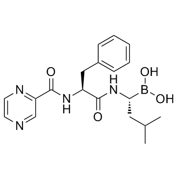 CAS:179324-69-7	Bortezomib	硼替佐米  批量生产 