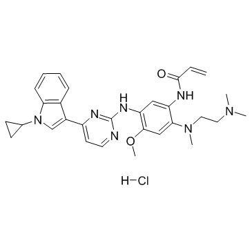 CAS:2134096-03-8	Almonertinib (hydrochloride)	HS-10296盐酸盐  新药中间体中试 