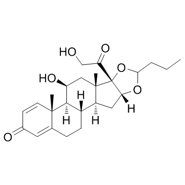 CAS:51333-22-3	Budesonide	布地奈德  原料药研发 