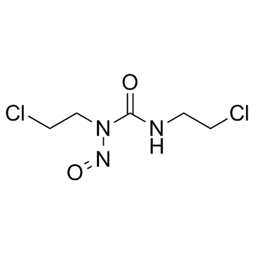 CAS:154-93-8	Carmustine	卡莫司汀  药物分子开发 