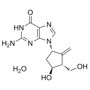CAS:209216-23-9	Entecavir (monohydrate)	恩替卡韦一水合物  公斤级 