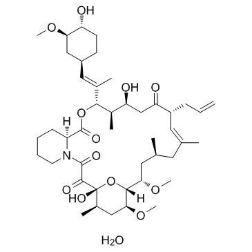 CAS:109581-93-3	Tacrolimus (monohydrate)	  他克莫司  原料药供应 