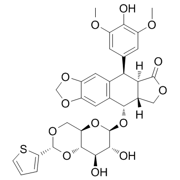 CAS:29767-20-2	Teniposide	替尼泊苷   原料药供应 