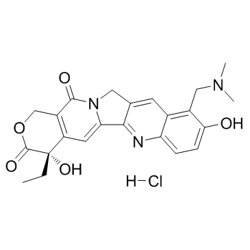 CAS:119413-54-6	Topotecan (hydrochloride)	盐酸拓扑替康     原料药研发