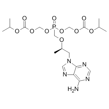 CAS:201341-05-1	Tenofovir Disoproxil	替诺福韦酯  批量生产  