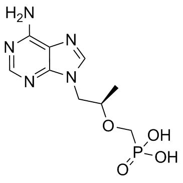 CAS:147127-20-6	Tenofovir	泰诺福韦  中试供应
