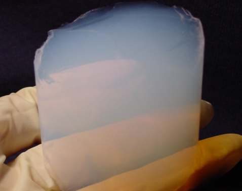 豌豆淀粉气凝胶      齐岳生物