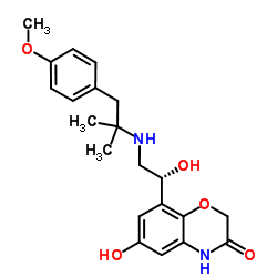 CAS:868049-49-4	Olodaterol	新药中间体中试 