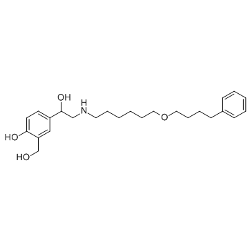 CAS:89365-50-4	Salmeterol	沙美特罗  中试供应