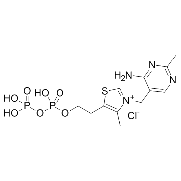 CAS:154-87-0	Thiamine pyrophosphate	焦磷酸硫胺素   工艺放大