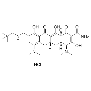 CAS:1196800-39-1	Omadacycline (hydrochloride)	  原料药研发