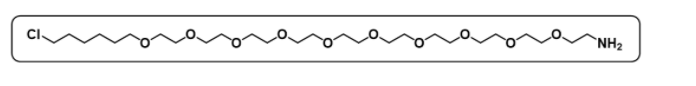 NH2-PEG10-C6-Cl