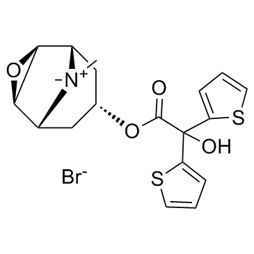 CAS:136310-93-5	Tiotropium (Bromide)	噻托溴铵  新药中间体工艺 
