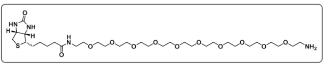 Biotin-PEG10-amine