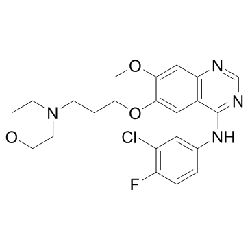 CAS:184475-35-2	Gefitinib	吉非替尼   化合物优化 