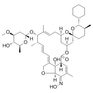 CAS:220119-17-5	Selamectin	司拉克丁     化合物优化