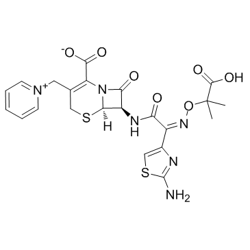CAS:72558-82-8	Ceftazidime	头孢他啶    KG级 