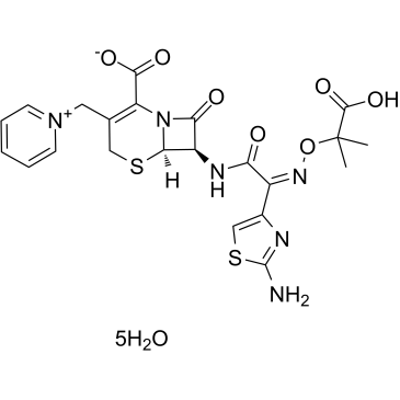 CAS:78439-06-2	Ceftazidime (pentahydrate)	头孢他啶  批量合成 
