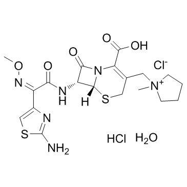 CAS:123171-59-5	Cefepime (Dihydrochloride Monohydrate)	盐酸头孢吡肟   新药中间体工艺