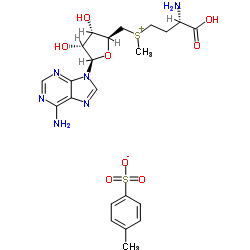 CAS:52248-03-0	S-Adenosyl-L-methionine (tosylate)	R,S-(5'-腺苷)-L-蛋氨酸对甲苯磺酸盐   公斤级 