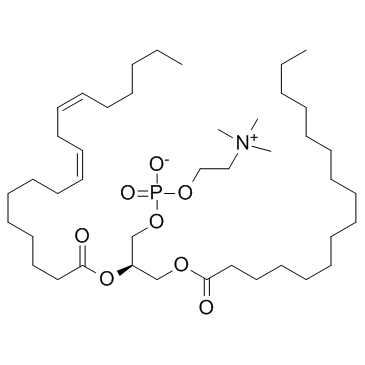 CAS:8002-43-5	  Lecithin	大豆卵磷脂     中试供应