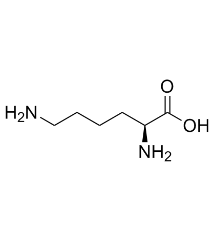 CAS:56-87-1	L-Lysine	L-赖氨酸     中间体生产