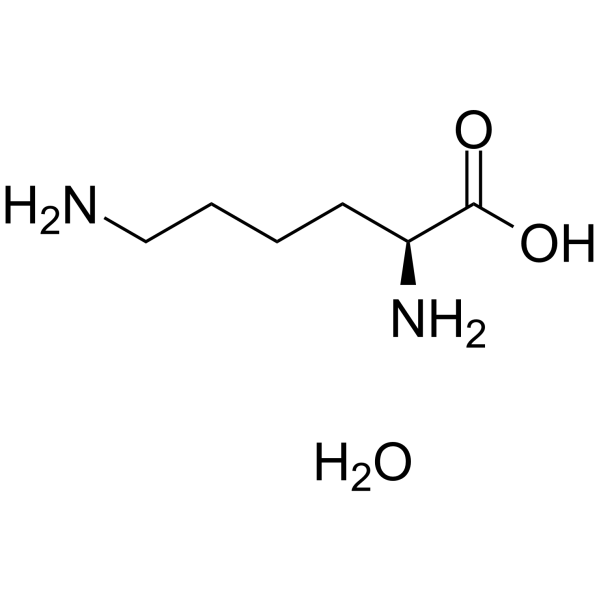 CAS:39665-12-8	L-Lysine hydrate	L-赖氨酸一水物    原料药研发
