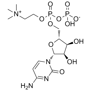 CAS:987-78-0	Citicoline	胞磷胆碱  中试供应